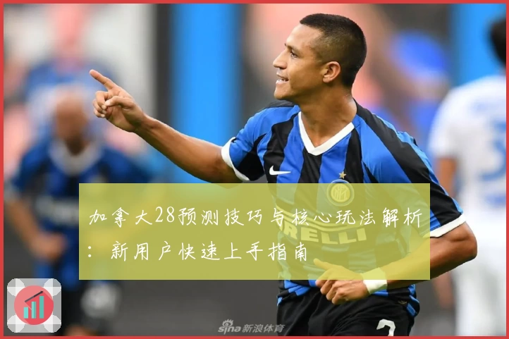 加拿大28预测技巧与核心玩法解析：新用户快速上手指南