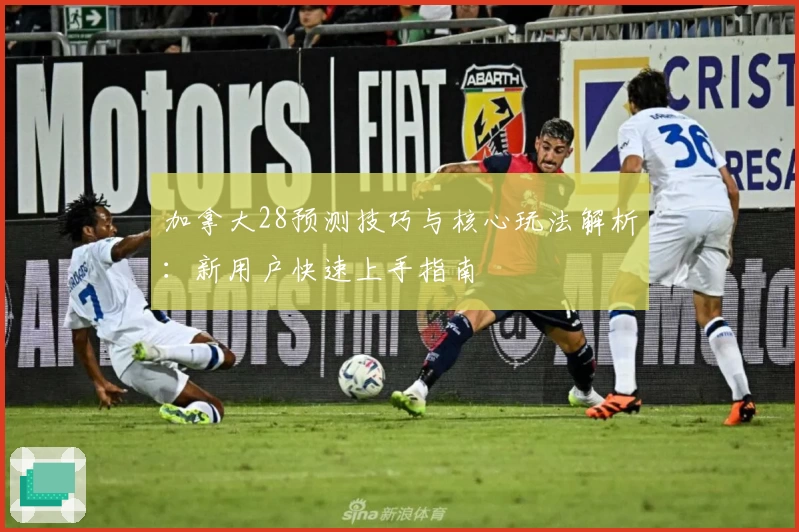 加拿大28预测技巧与核心玩法解析：新用户快速上手指南