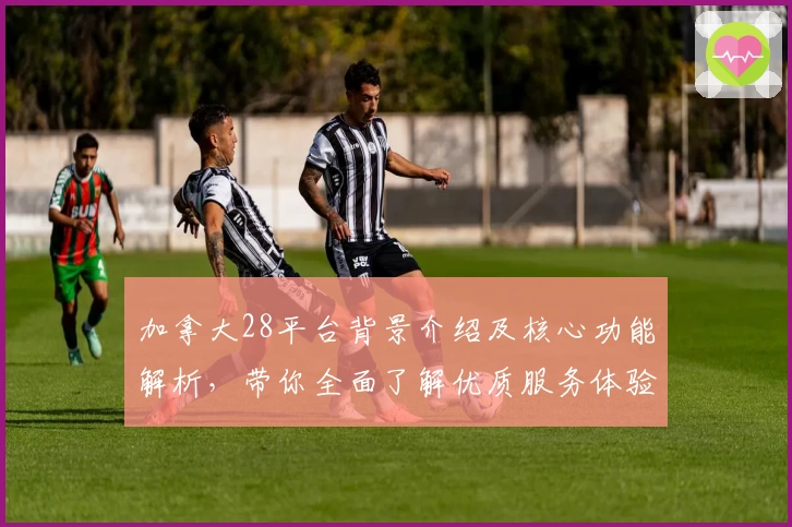 加拿大28平台背景介绍及核心功能解析,带你全面了解优质服务体验