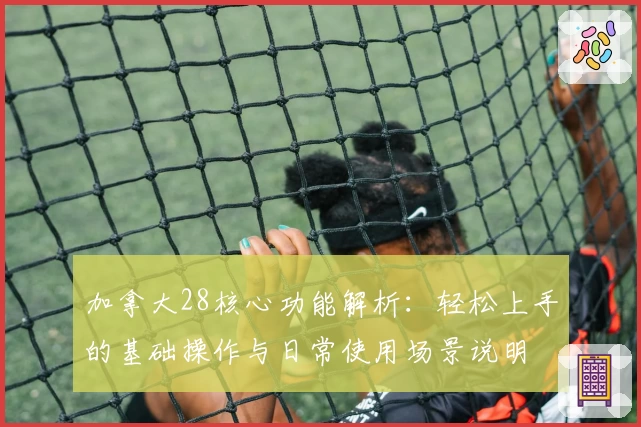 加拿大28核心功能解析:轻松上手的基础操作与日常使用场景说明