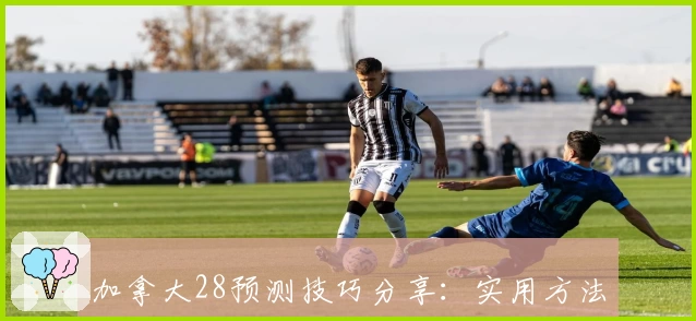 加拿大28预测技巧分享：实用方法解析及长期使用体验汇总