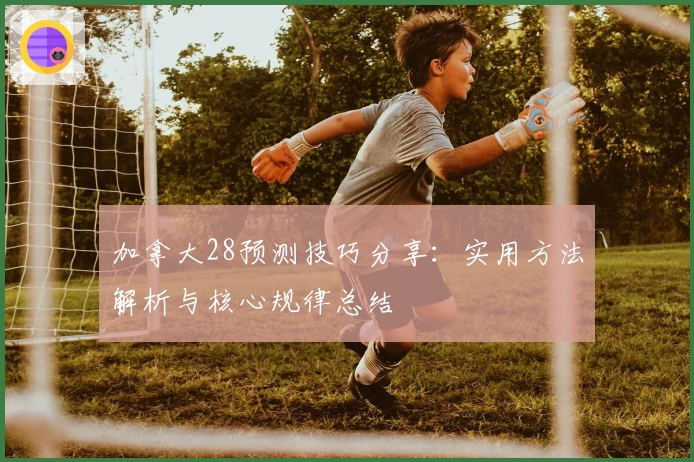 加拿大28预测技巧分享：实用方法解析与核心规律总结