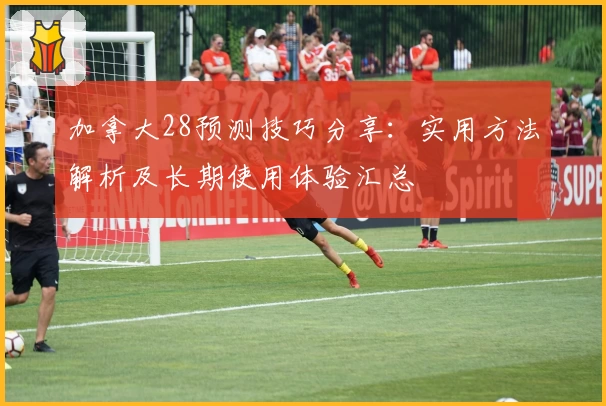 加拿大28预测技巧分享：实用方法解析及长期使用体验汇总