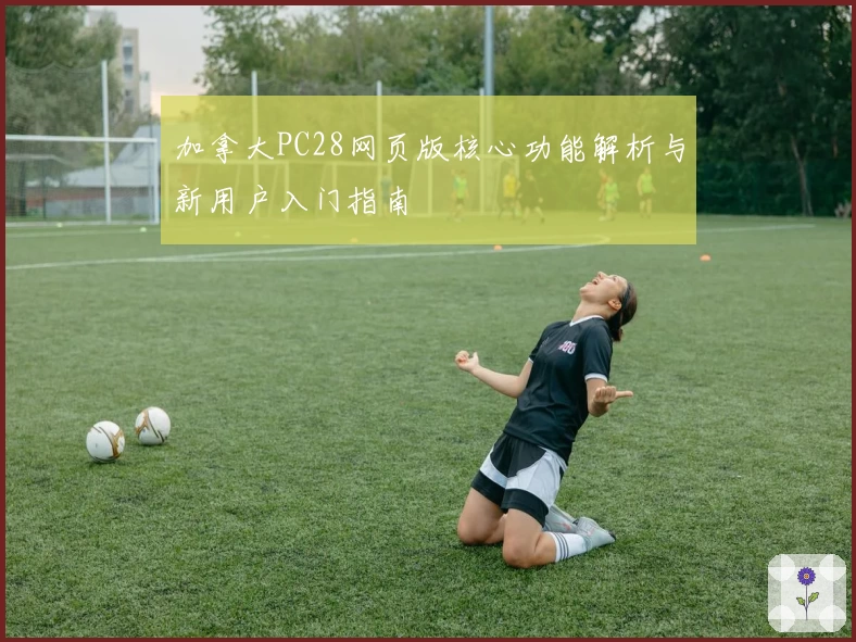 加拿大PC28网页版核心功能解析与新用户入门指南
