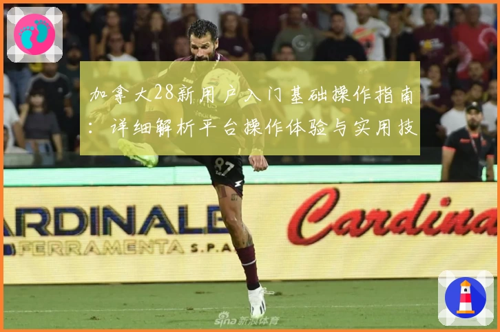 加拿大28新用户入门基础操作指南：详细解析平台操作体验与实用技巧分享