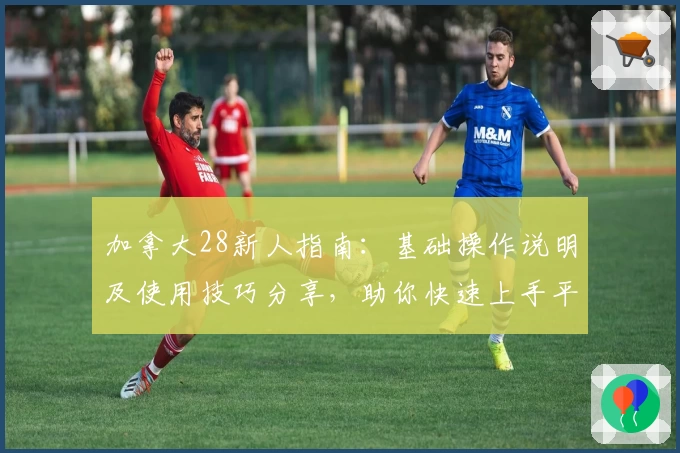 加拿大28新人指南:基础操作说明及使用技巧分享,助你快速上手平台核心功能