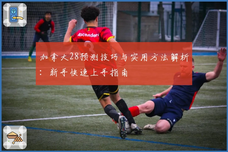 加拿大28预测技巧与实用方法解析：新手快速上手指南