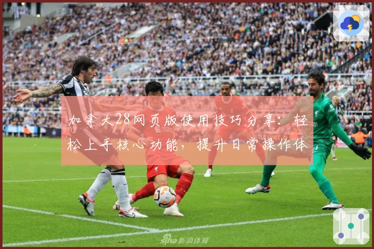 加拿大28网页版使用技巧分享：轻松上手核心功能，提升日常操作体验